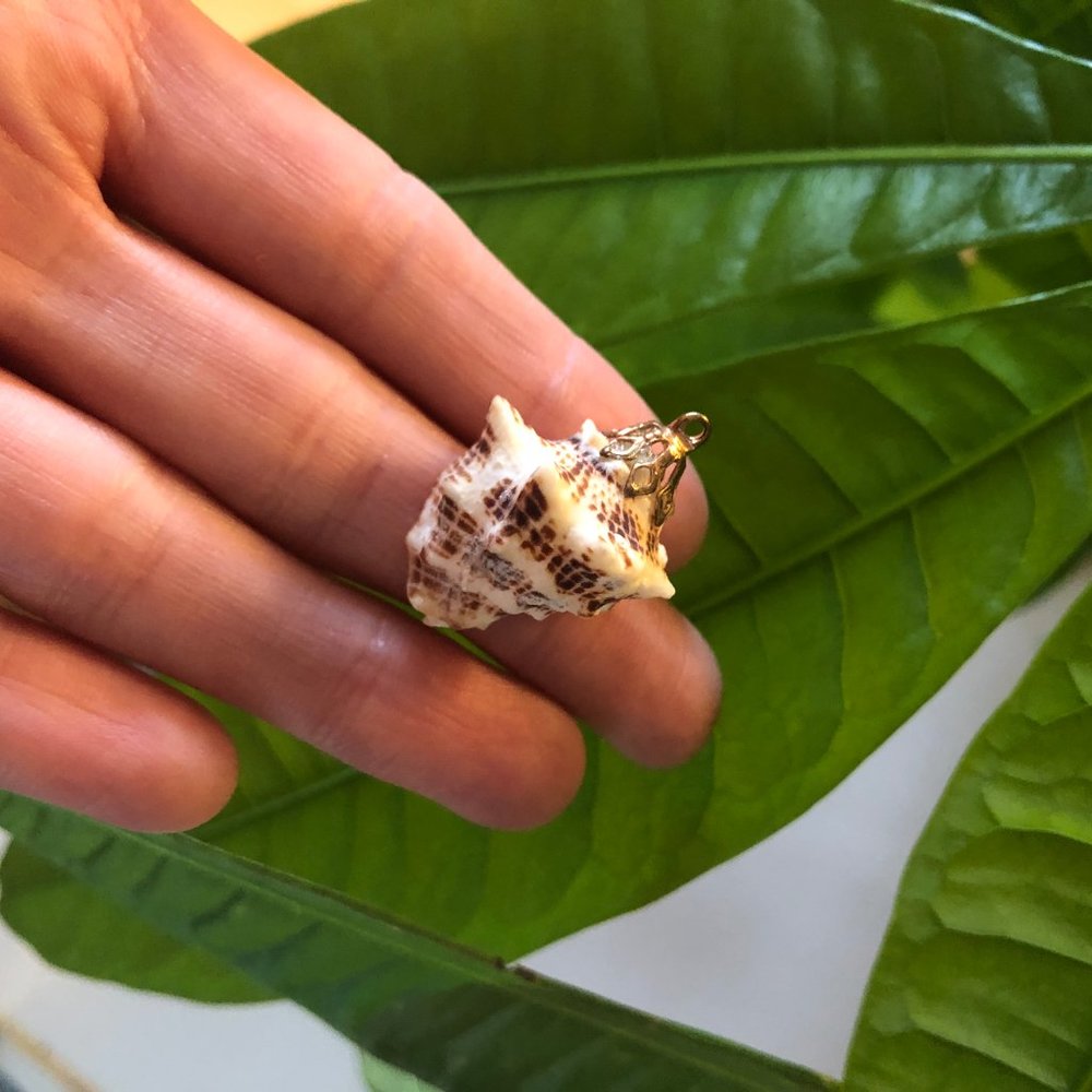 Seashell Pendant with Gold Fascinator for Necklace